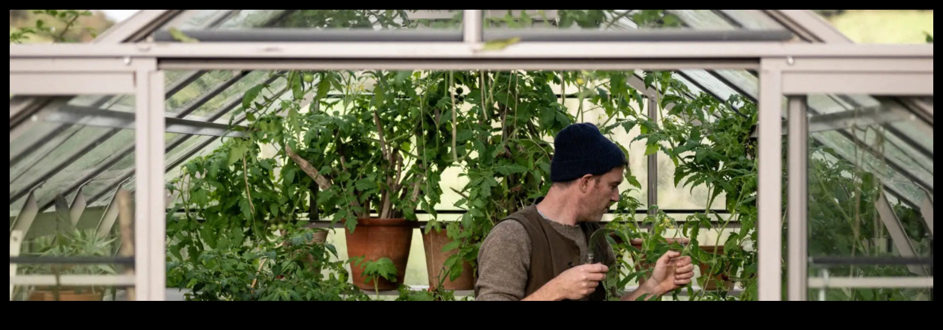 Izkopiet prieku: atklājiet siltumnīcu dārzkopības burvību