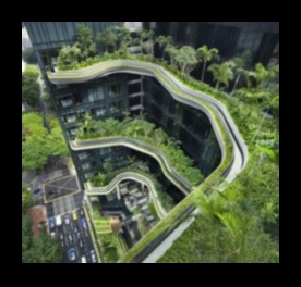 Dārza patvērums pilsētā: pilsētas apzaļumošanas idejas