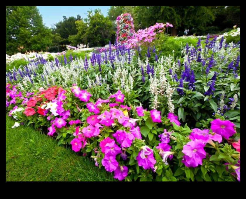 Sezonas krāšņums: padomi krāsainam dārzam visa gada garumā