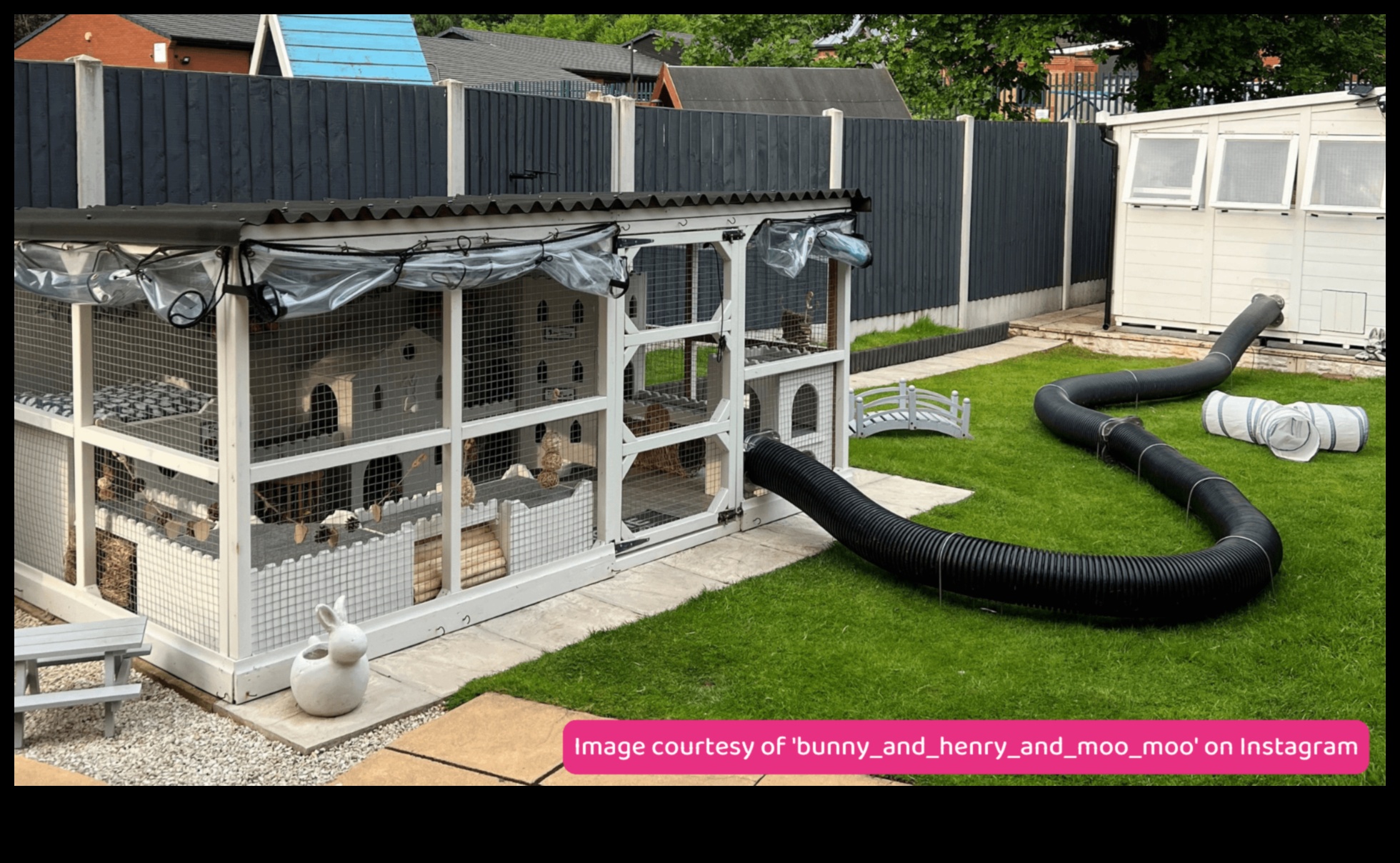 Bunny Bliss: Drošu āra telpu izveide trušiem