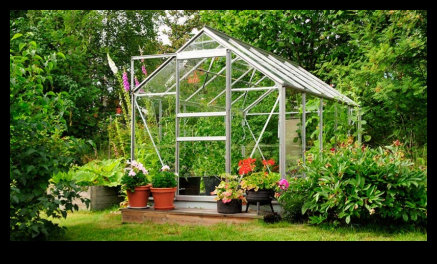 Dārza elegance: siltumnīcas skaistums katrā pumpuriņā