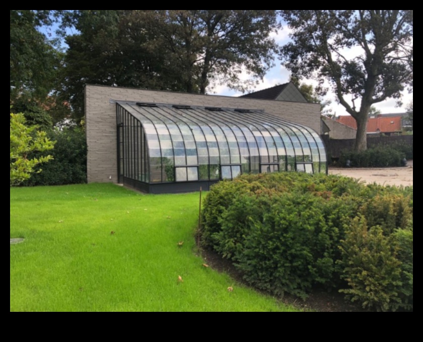 Dārza elegance: siltumnīcas skaistums katrā pumpuriņā