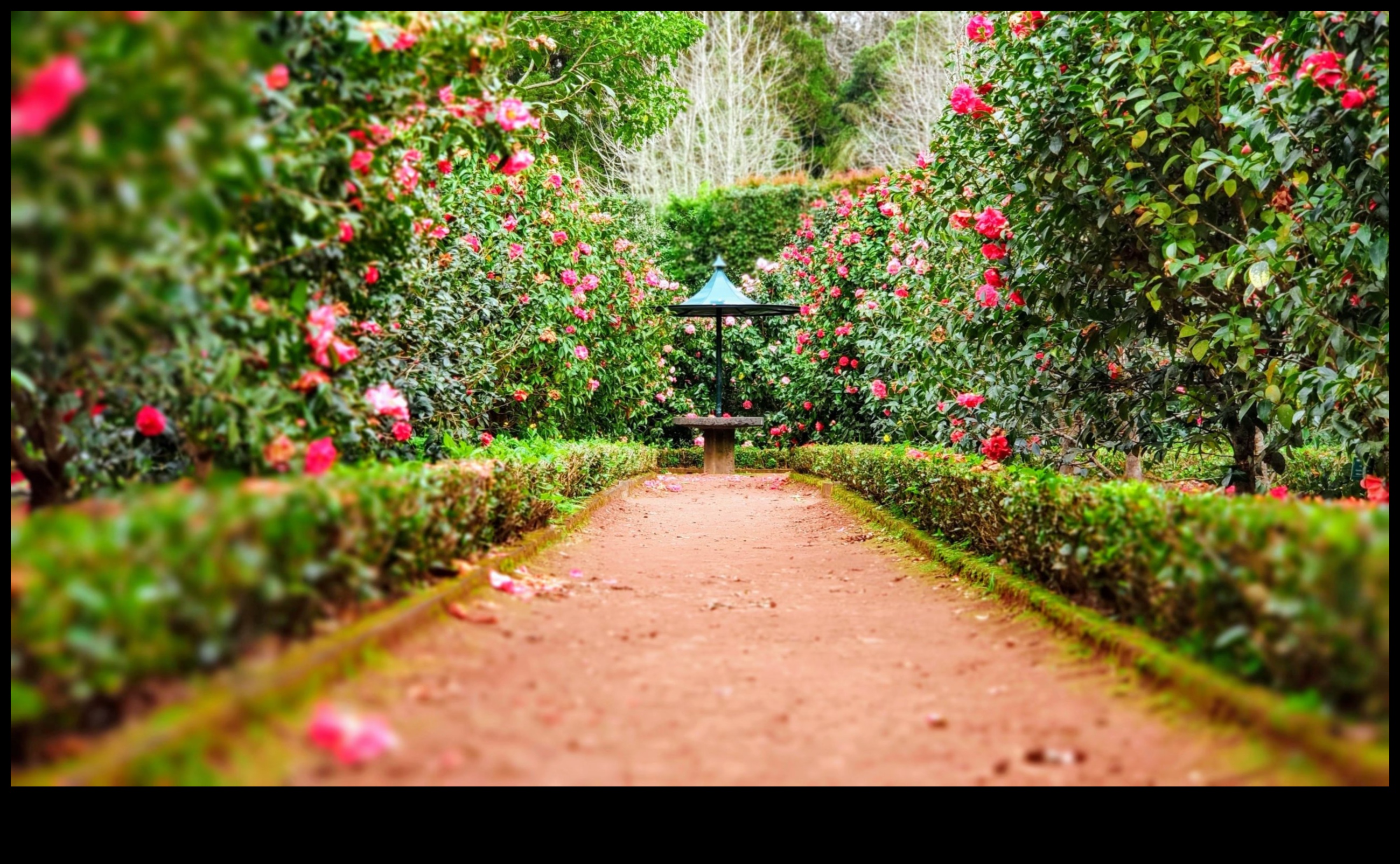 Harmony in Bloom: stilīgi akcenti jūsu dārza svētnīcai