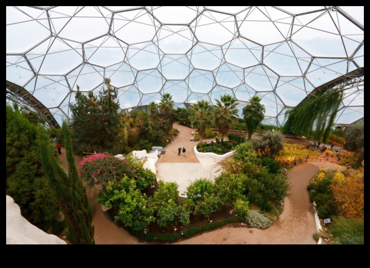 Eden atklāj: dārza dizaina sapņi piepildās