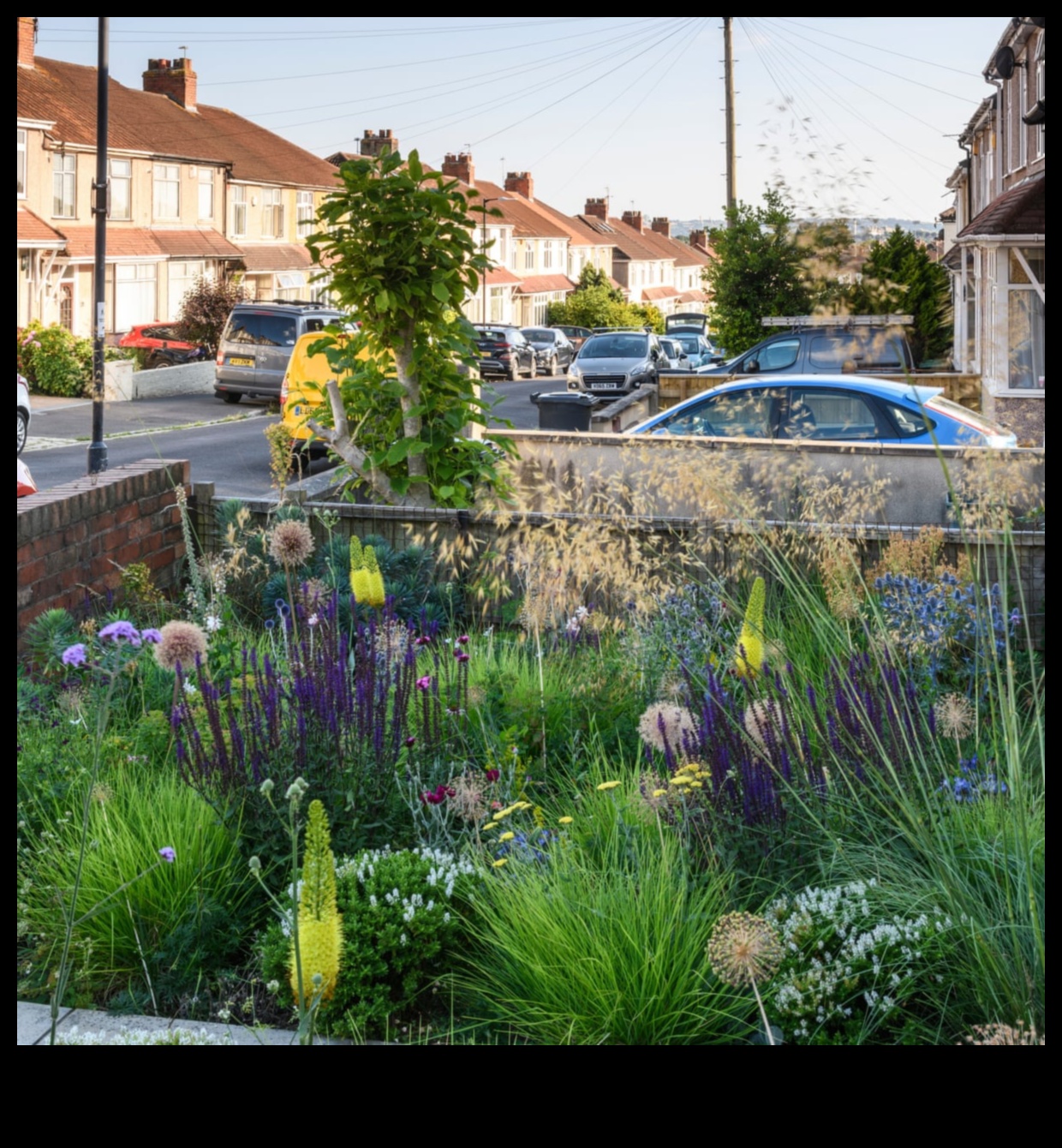 Apstādījumu sargi: stratēģijas kaitēkļiem izturīgam dārzam