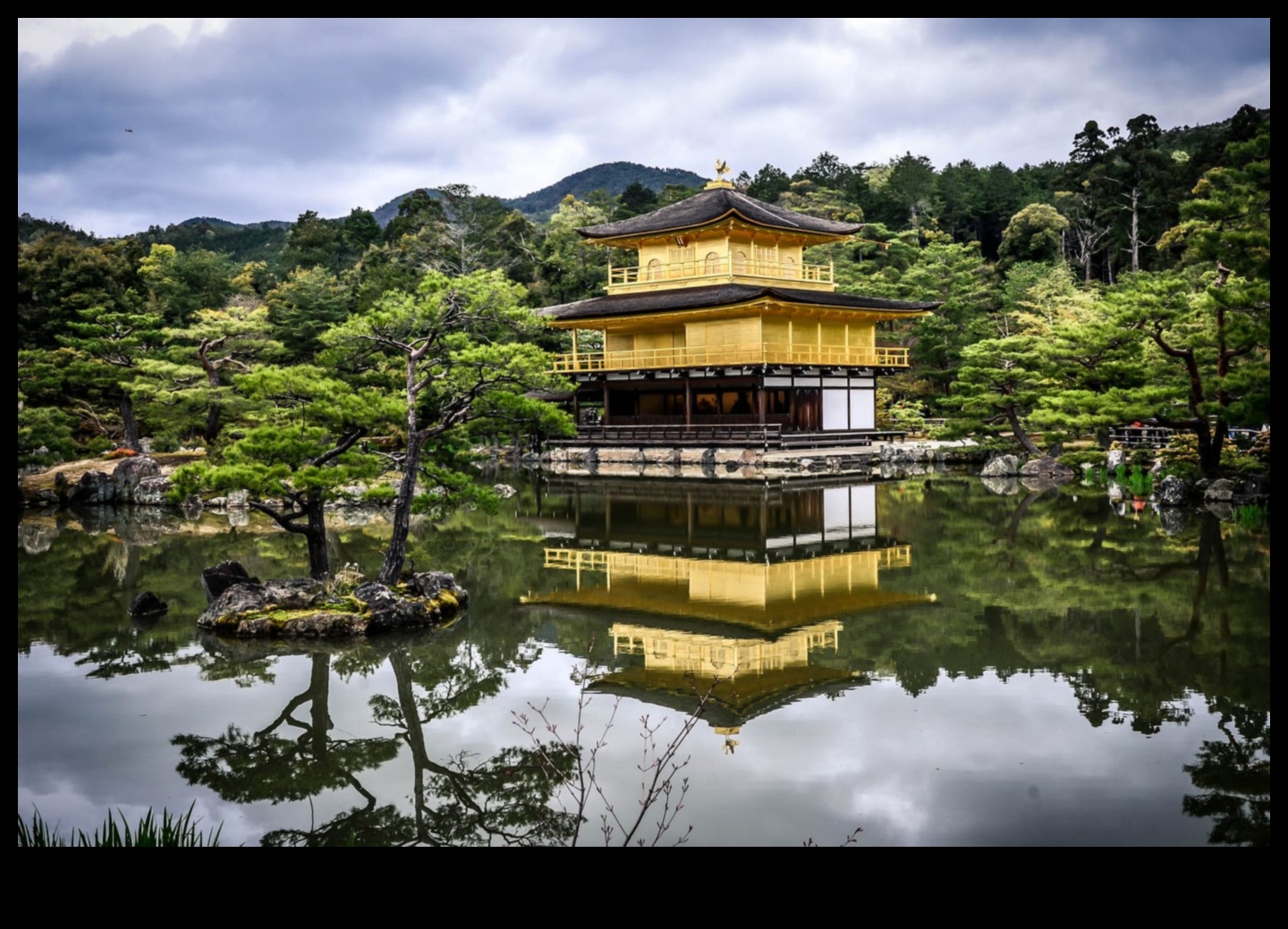 Dabas harmonija: japāņu dārza skaistums katrā lapā