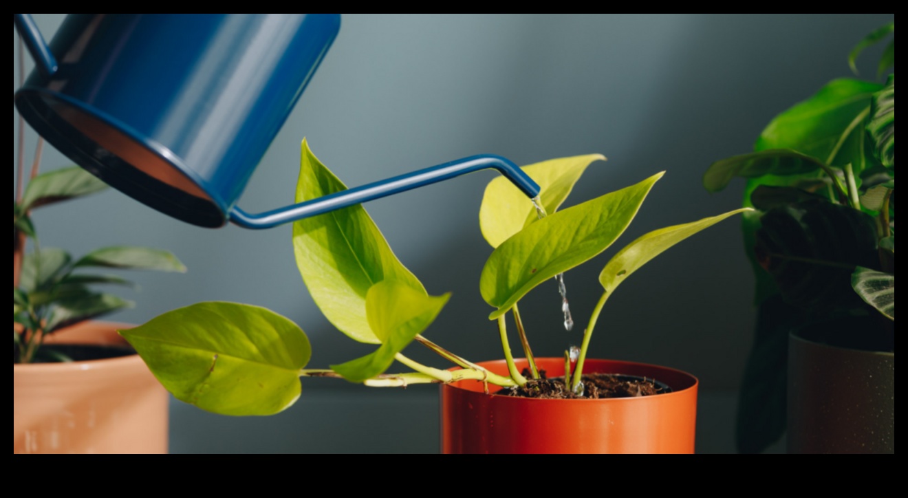 Uzplaukums dabiski: apgūstiet bioloģiskās dārzkopības noslēpumus