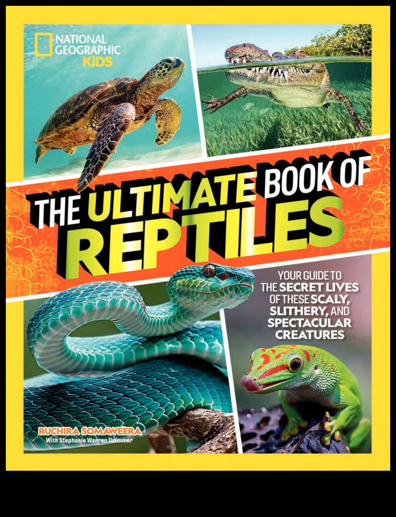 Rāpuļu skrējēji turpinājums: Modīgāki aksesuāri jūsu Scaley kompanjonam