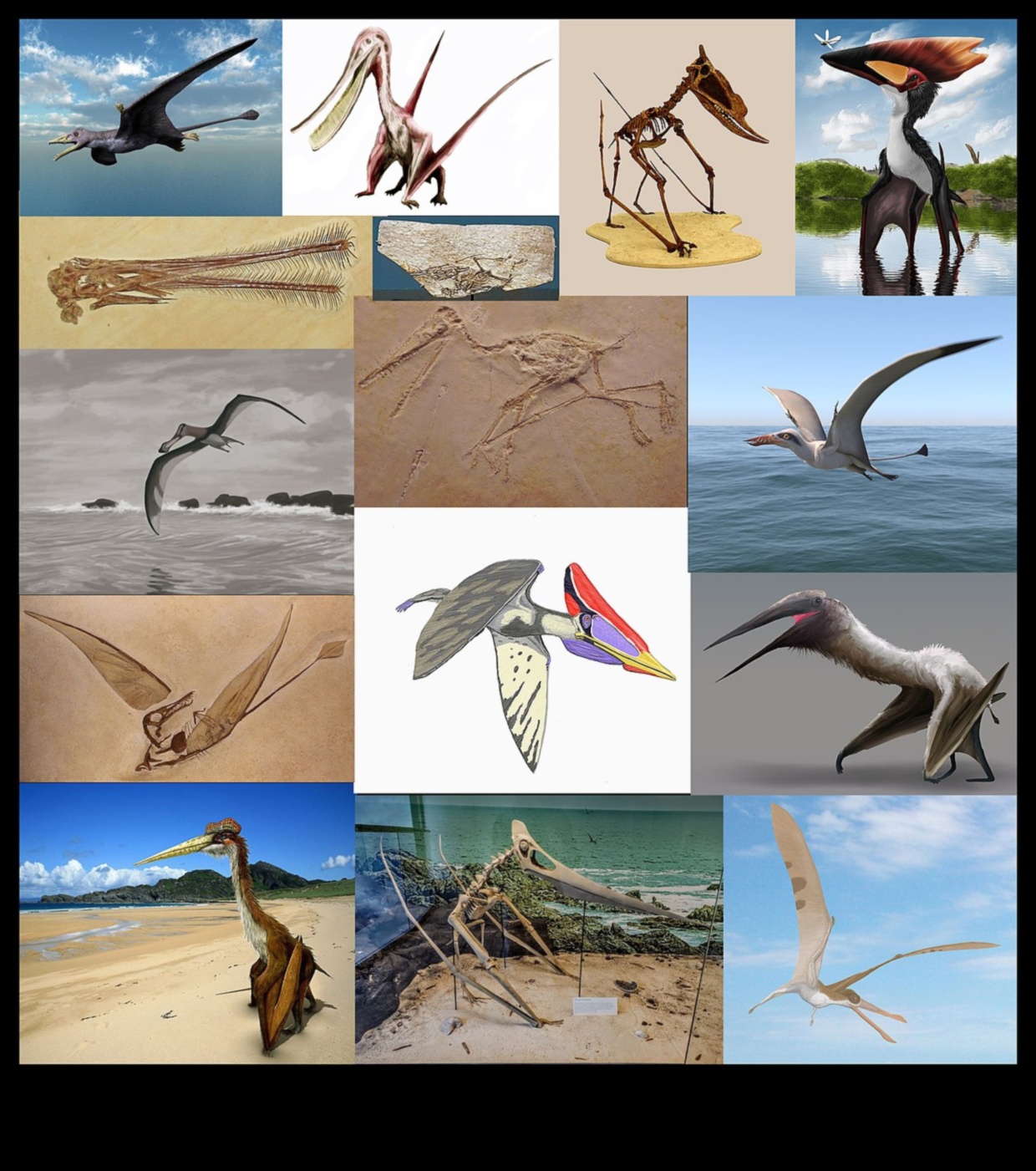 Rāpuļu skrējēji turpinājums: Modīgāki aksesuāri jūsu Scaley kompanjonam