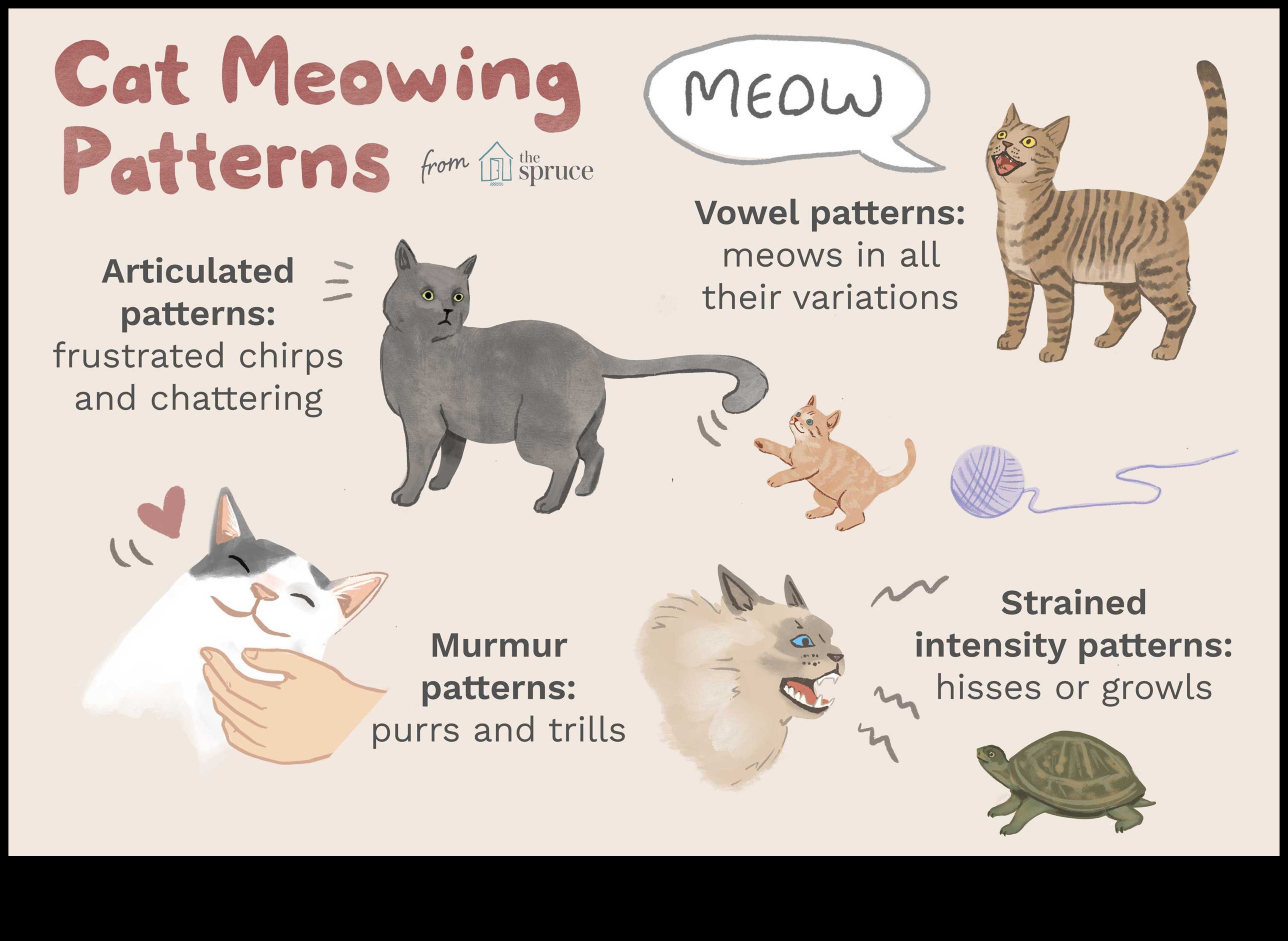 Kaķu tērzēšana: dažādu kaķu vokalizāciju atšifrēšana