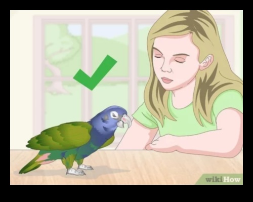 Spalvu draugu modes svētki: nepārtraukti veidojiet savu mājdzīvnieku putnu