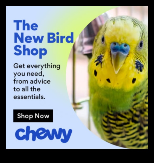 Spalvu draugu modes svētki: nepārtraukti veidojiet savu mājdzīvnieku putnu