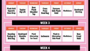 Ab revolūcija: pārveidojoši vingrinājumi veidotai vidusdaļai