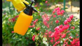 Apstādījumu sargi: stratēģijas kaitēkļiem izturīgam dārzam