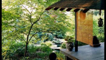 Bambusa skaistums: japāņu dārzkopība ar grāciju