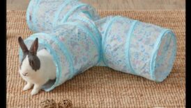 Bunny Bliss: Drošu āra telpu izveide trušiem