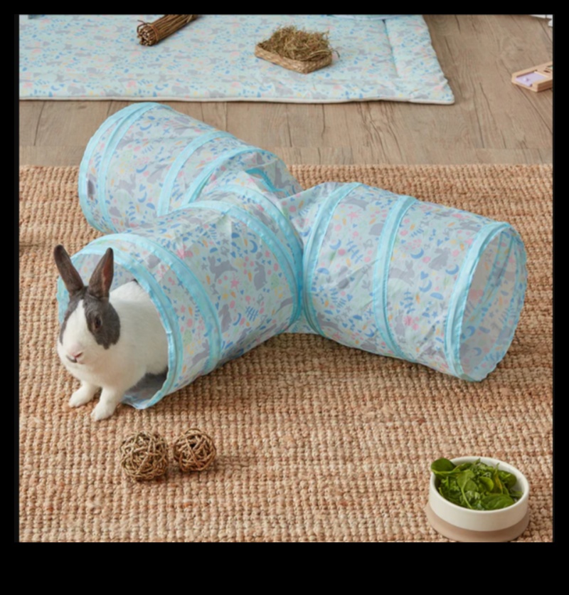 Bunny Bliss: Drošu āra telpu izveide trušiem