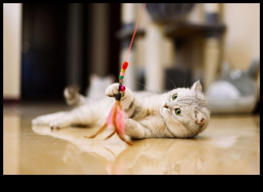 DIY Cat Rotaļlietas Turpinājums: Inovatīvu rotaļlietu izgatavošana izklaidei