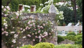 Eden atklāj: dārza dizaina sapņi piepildās