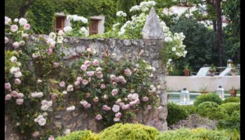 Eden atklāj: dārza dizaina sapņi piepildās