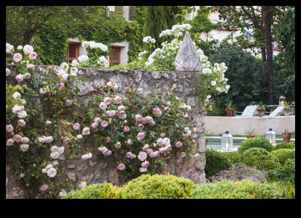 Eden atklāj: dārza dizaina sapņi piepildās