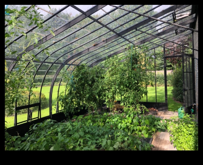 Dārza elegance: siltumnīcas skaistums katrā pumpuriņā