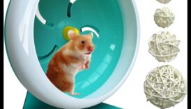 Kāmja riteņu drošība Turpinājums: klusas iespējas klusai videi