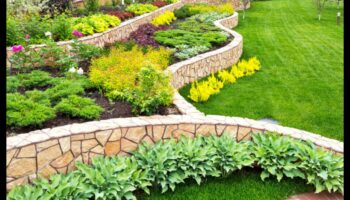 No skices līdz krāšņumam: dārza dizaina mākslas apguve