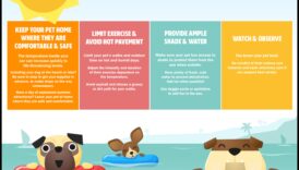 Vasaras drošības padomi: pasargājiet savu mājdzīvnieku no karstuma