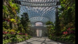 Zaļais gobelēns: vertikāla dārzkopība mākslinieciskām ainavām