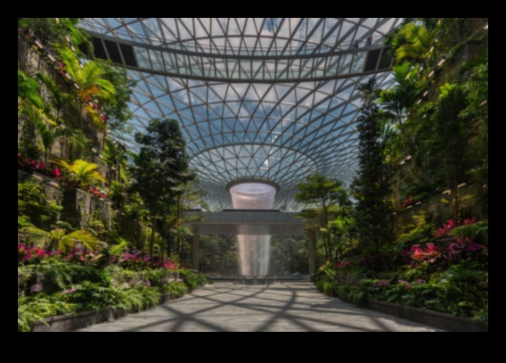 Zaļais gobelēns: vertikāla dārzkopība mākslinieciskām ainavām