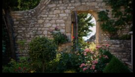 Ziedu fantāzija: DIY iedvesmas dārzam, kas pārņem skaistumu