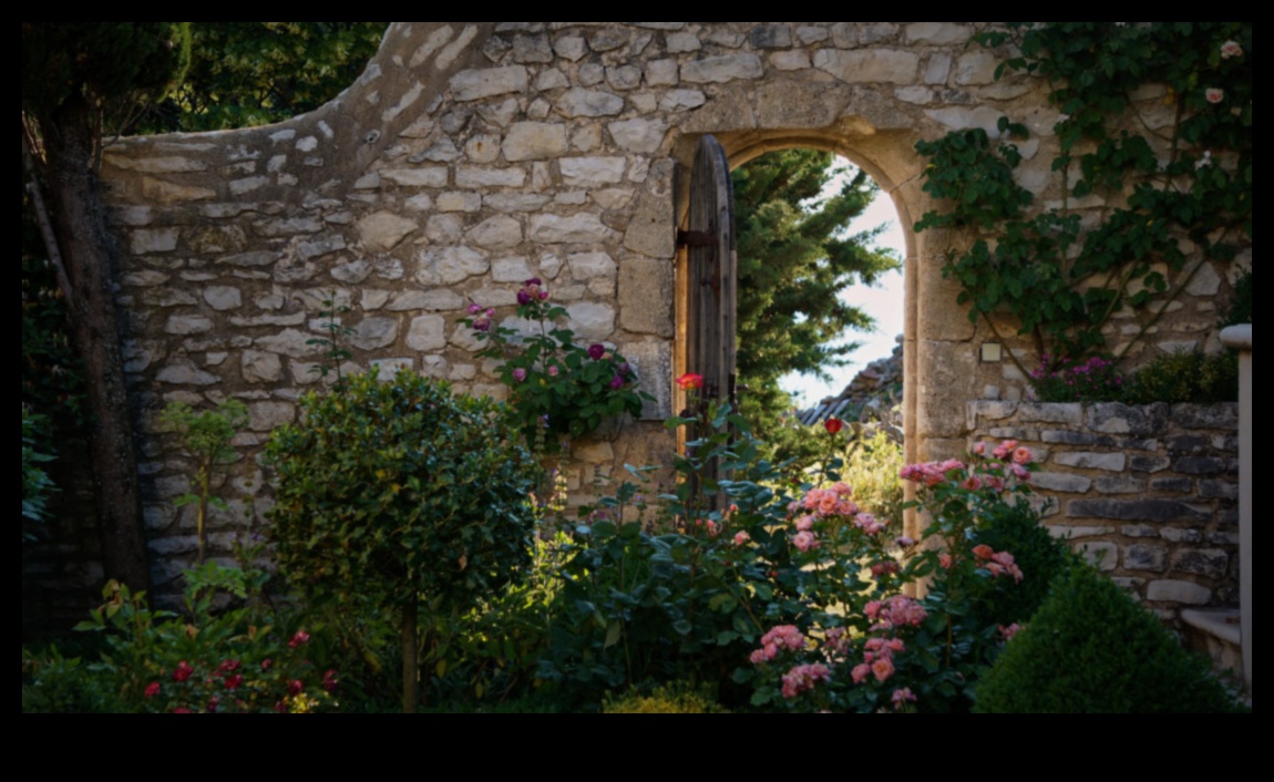 Ziedu fantāzija: DIY iedvesmas dārzam, kas pārņem skaistumu